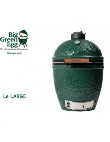 Barbecue Big Green Egg LARGE brillant des détails fins