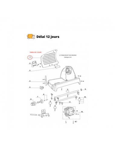 Paroi de coupe trancheuse T250 Magimix en ligne